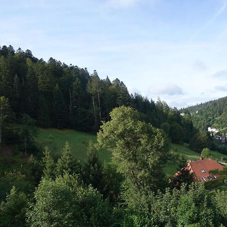 Апартаменты Zum Schwalbennest Тодтмос Экстерьер фото