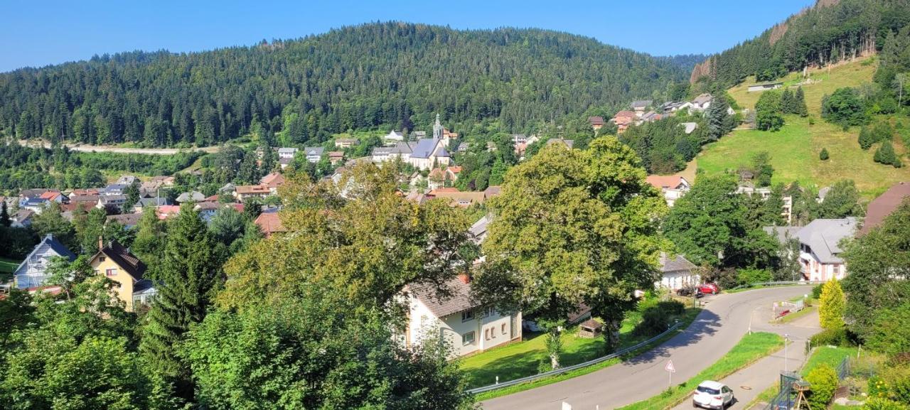 Апартаменты Zum Schwalbennest Тодтмос Экстерьер фото