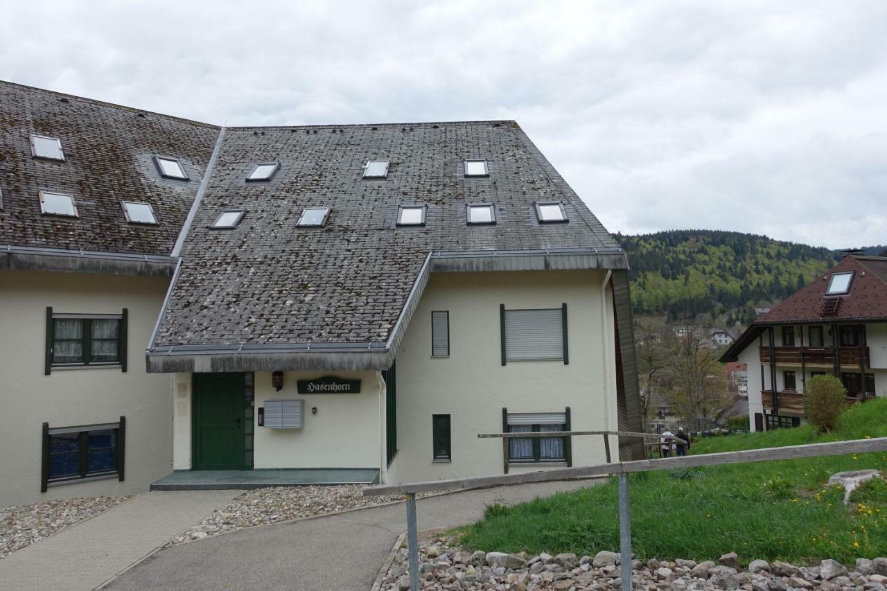 Апартаменты Zum Schwalbennest Тодтмос Экстерьер фото